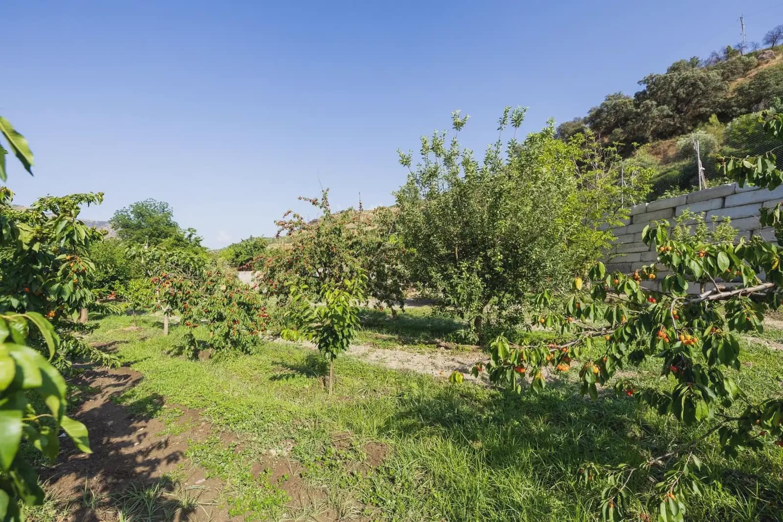 Grunde uden byggetilladelser til salg i Pinos Genil - € 138.000 (Ref: 9837273)