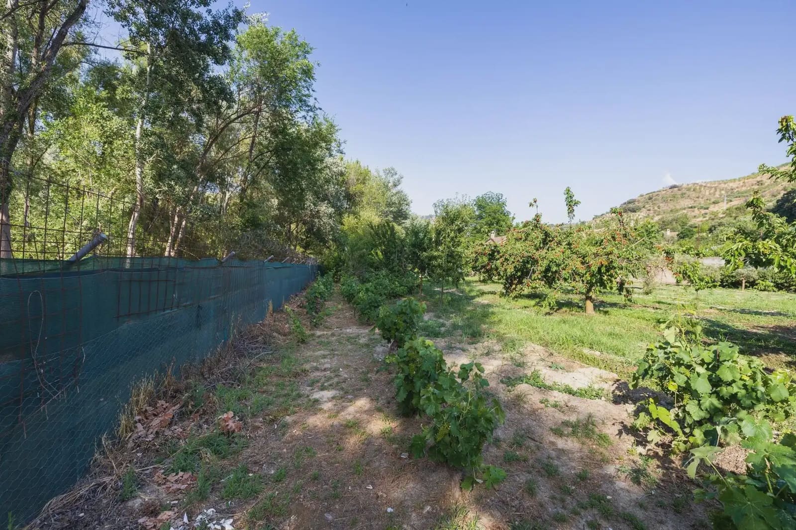 Grunde uden byggetilladelser til salg i Pinos Genil - € 138.000 (Ref: 9837273)