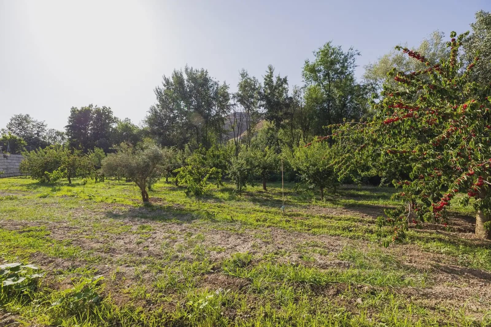 Grunde uden byggetilladelser til salg i Pinos Genil - € 138.000 (Ref: 9837273)