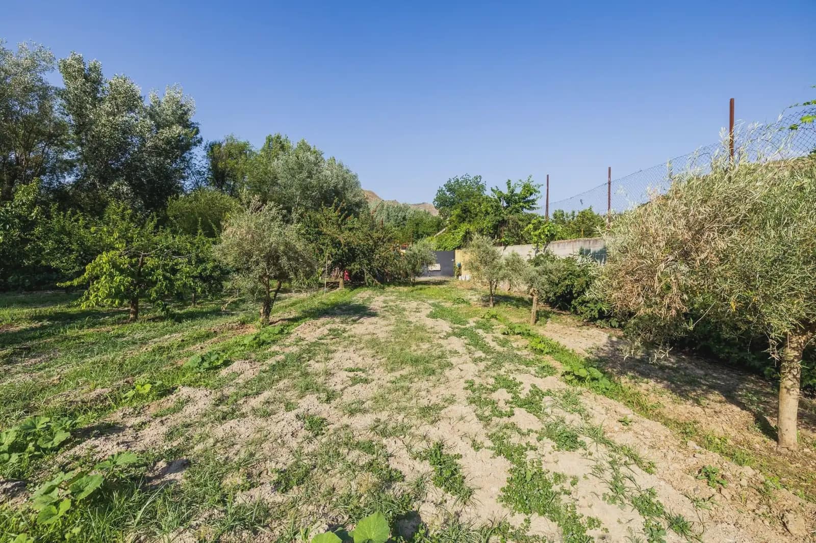 Grunde uden byggetilladelser til salg i Pinos Genil - € 138.000 (Ref: 9837273)