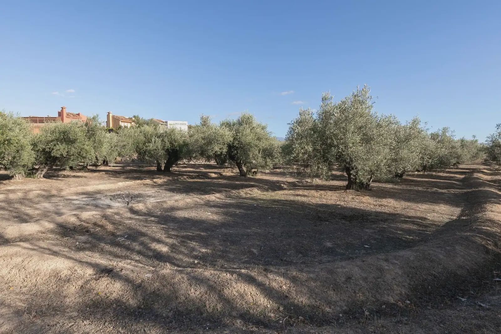 Solar/Parcela en Albolote en venta - 1.800.000 € (Ref: 9837292)