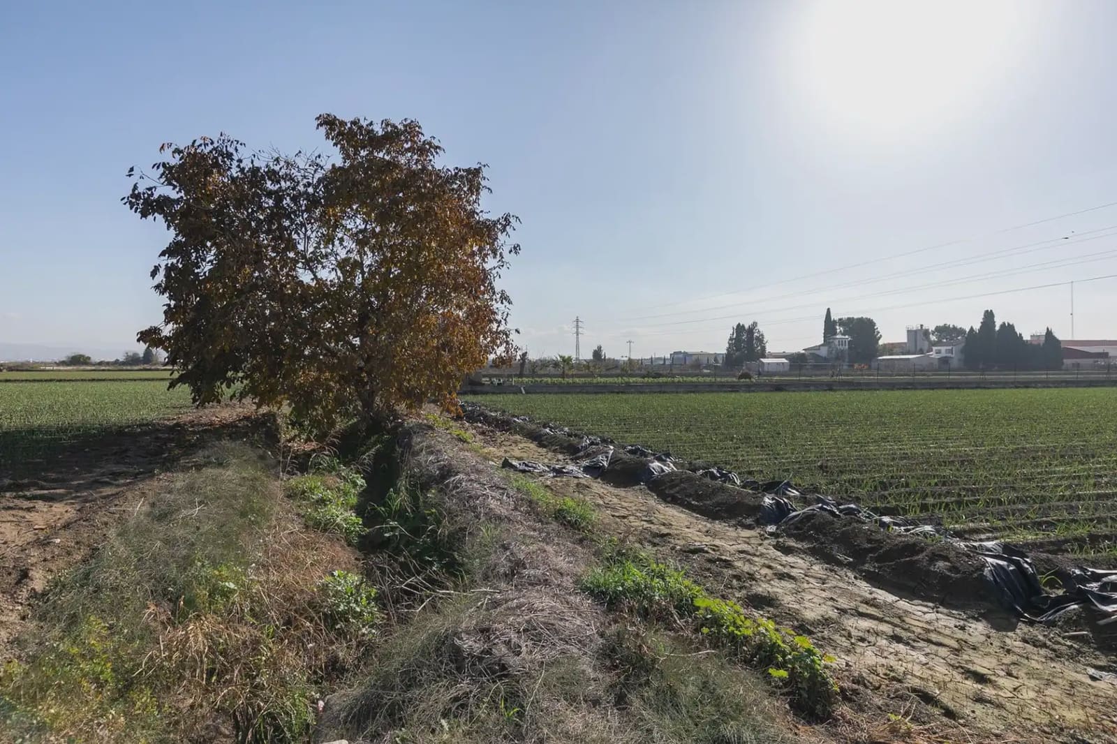 Byggetomt til salgs i Atarfe - € 100 000 (Ref: 9837312)