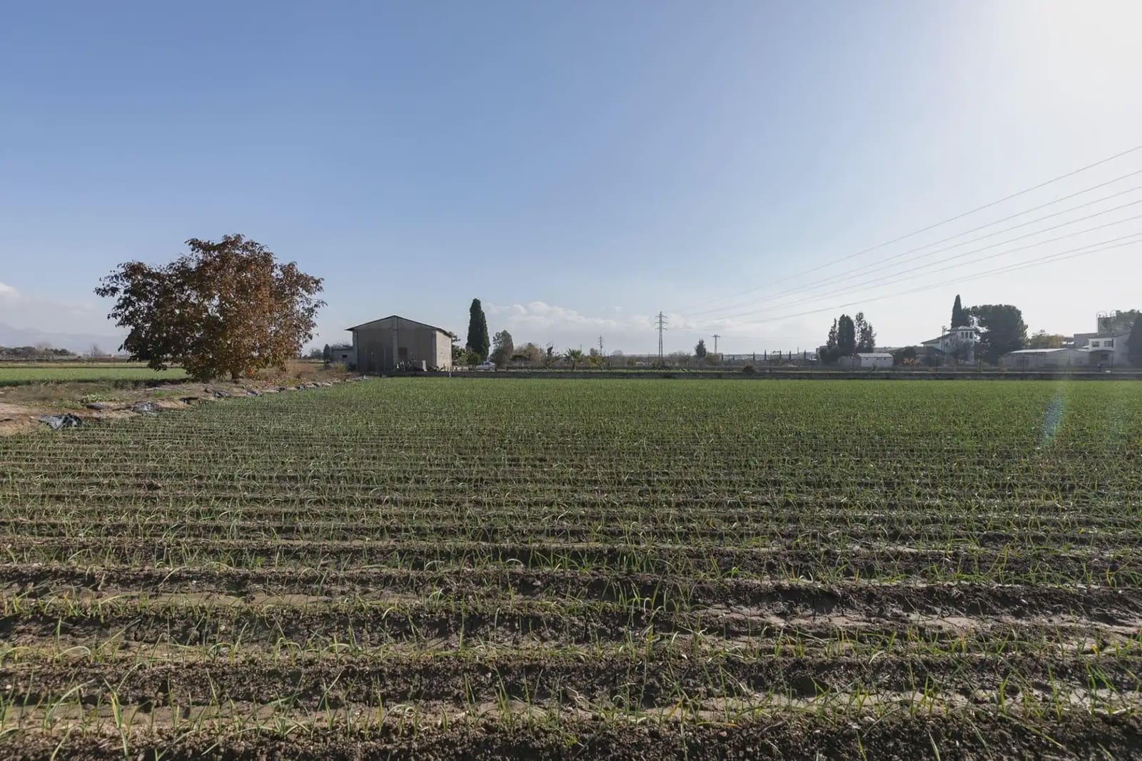Byggetomt til salgs i Atarfe - € 100 000 (Ref: 9837312)