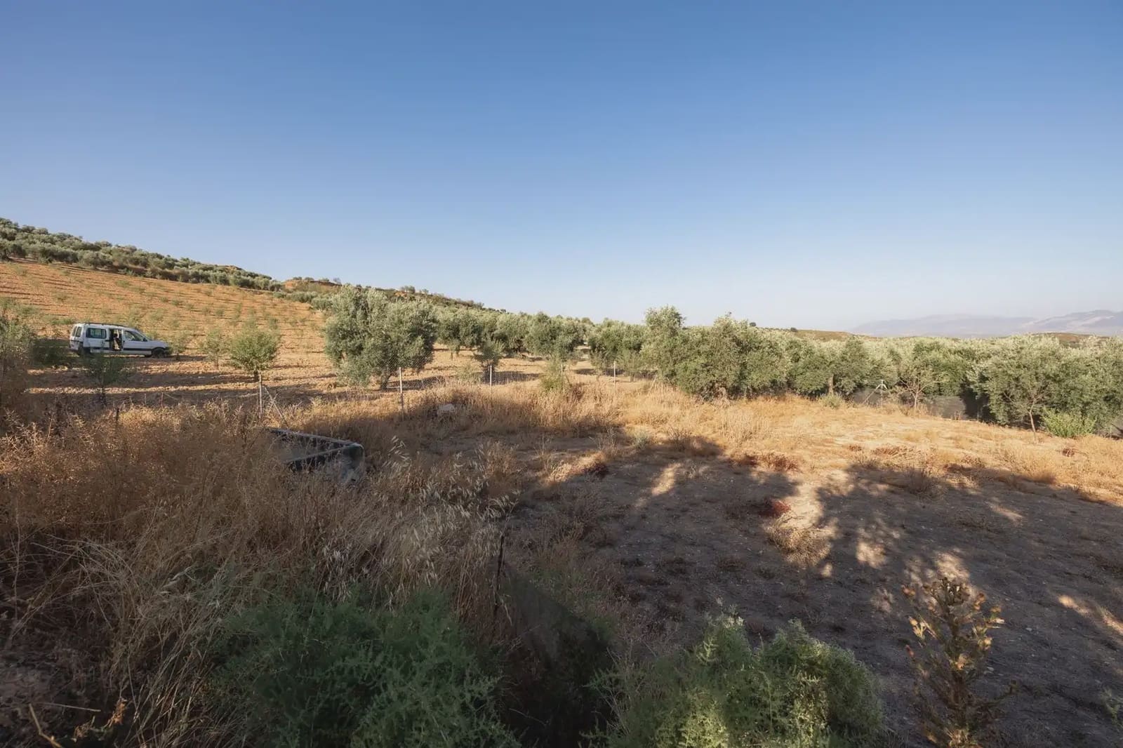 Grunde uden byggetilladelser til salg i Cogollos Vega - € 29.000 (Ref: 9837326)