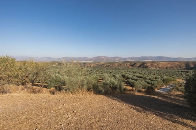 Grunde uden byggetilladelser til salg i Cogollos Vega - € 29.000 (Ref: 9837326)