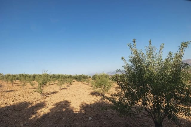 Grunde uden byggetilladelser til salg i Cogollos Vega - € 29.000 (Ref: 9837326)