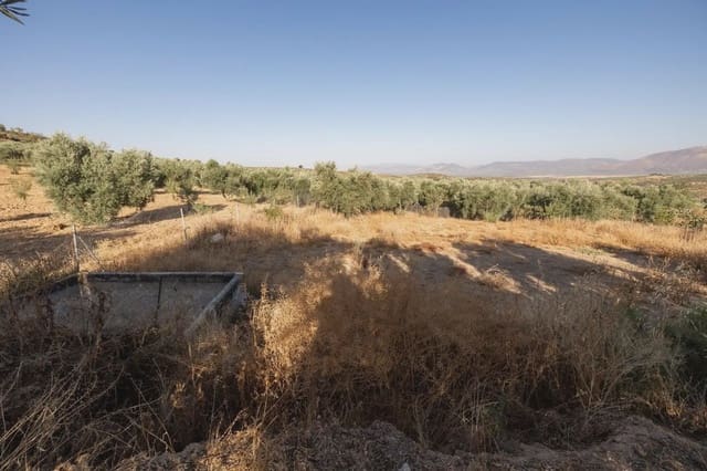 Grunde uden byggetilladelser til salg i Cogollos Vega - € 29.000 (Ref: 9837326)