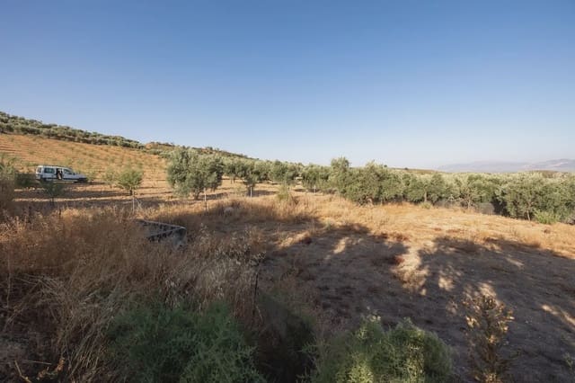 Grunde uden byggetilladelser til salg i Cogollos Vega - € 29.000 (Ref: 9837326)