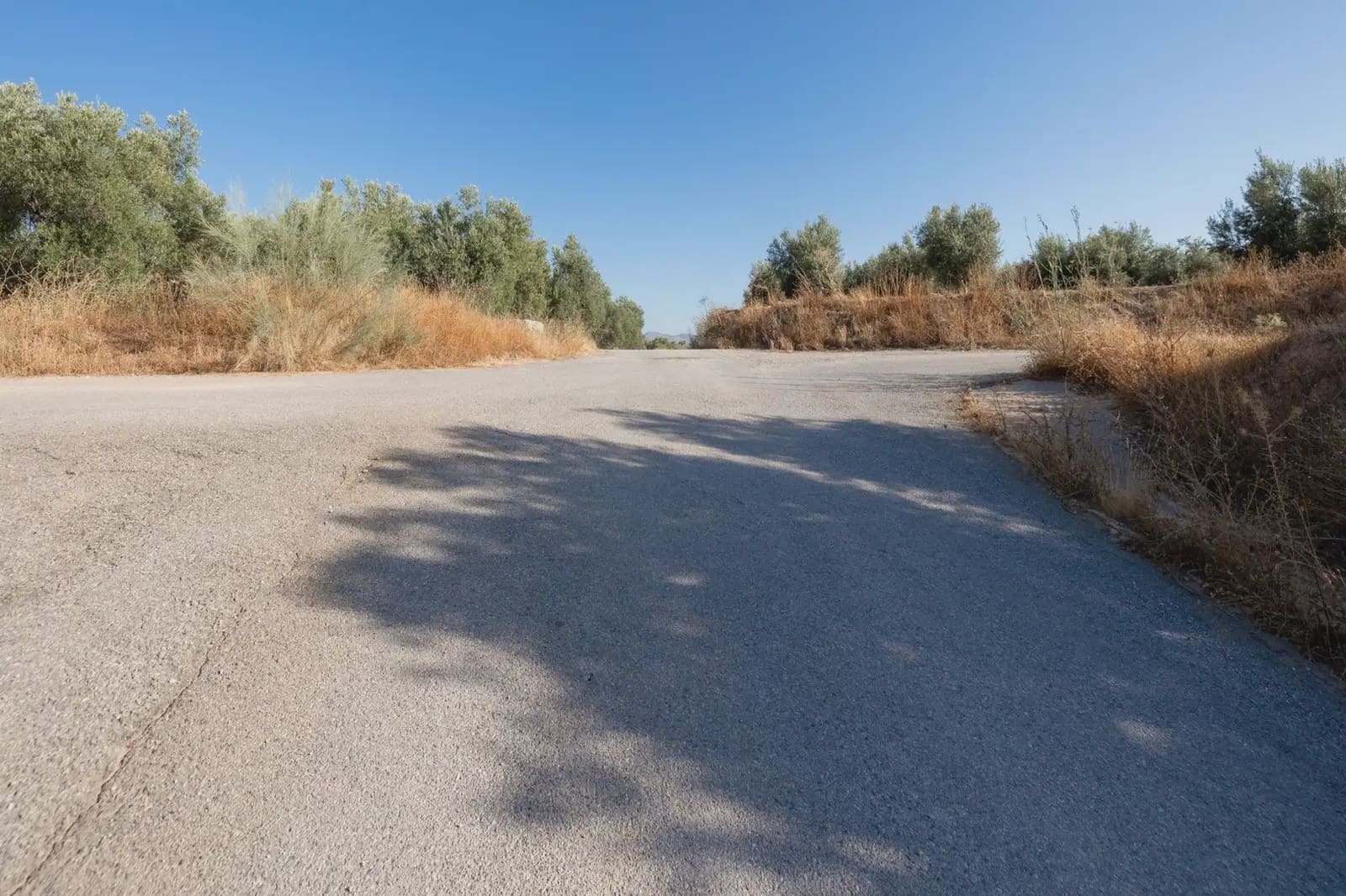 Grunde uden byggetilladelser til salg i Cogollos Vega - € 29.000 (Ref: 9837326)
