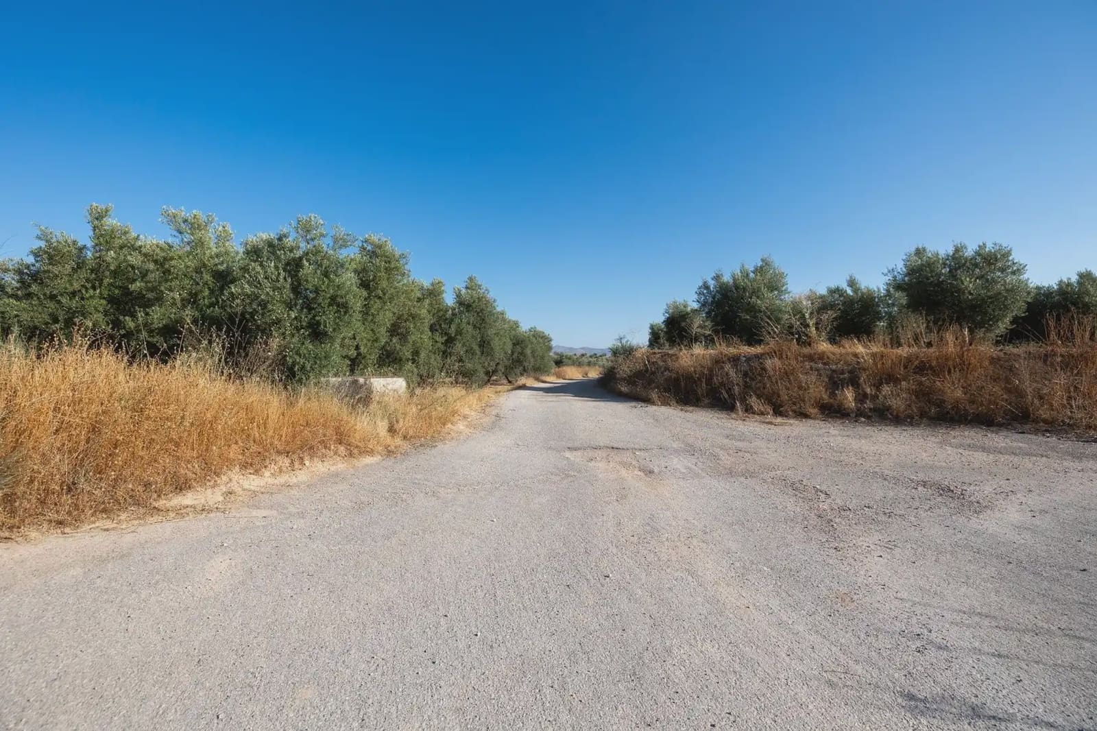 Grunde uden byggetilladelser til salg i Cogollos Vega - € 29.000 (Ref: 9837326)