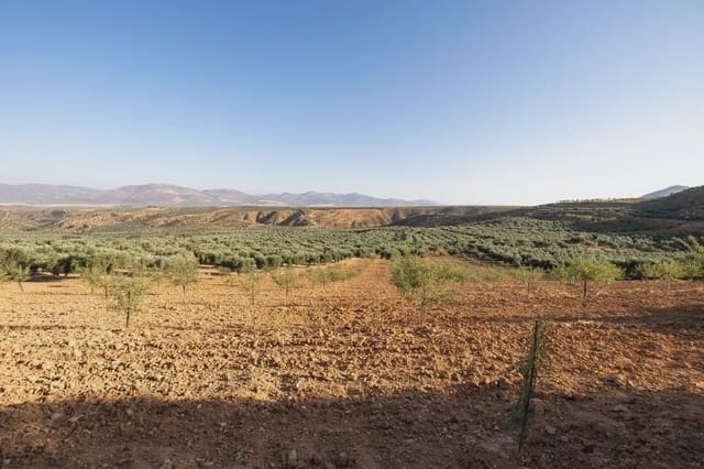 Grunde uden byggetilladelser til salg i Cogollos Vega - € 29.000 (Ref: 9837326)