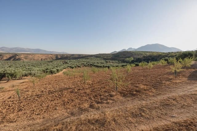 Grunde uden byggetilladelser til salg i Cogollos Vega - € 29.000 (Ref: 9837326)