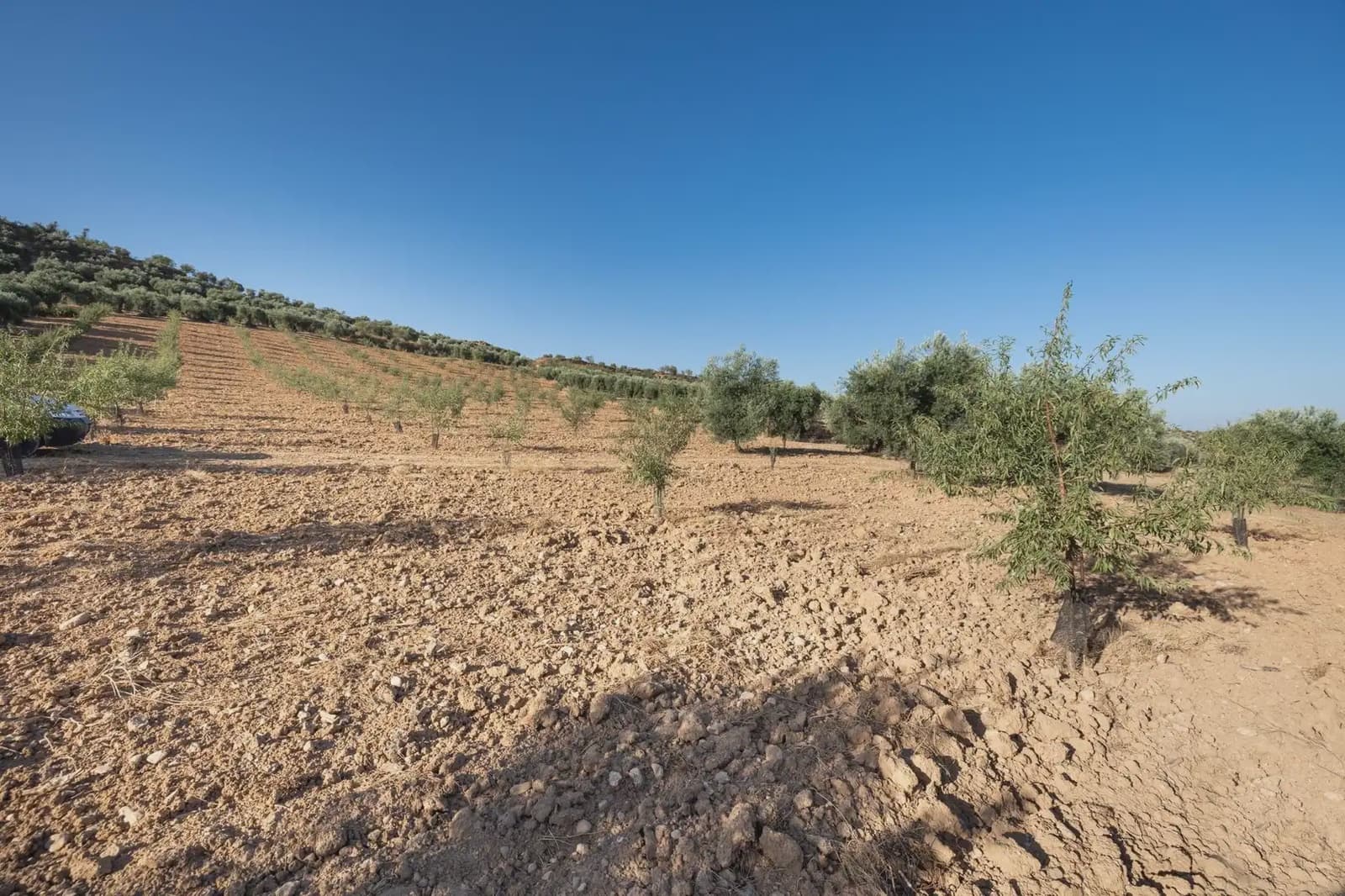 Grunde uden byggetilladelser til salg i Cogollos Vega - € 29.000 (Ref: 9837326)