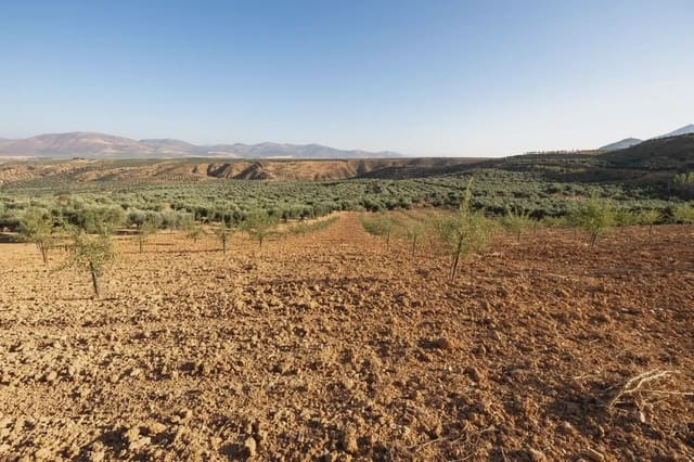 Grunde uden byggetilladelser til salg i Cogollos Vega - € 29.000 (Ref: 9837326)