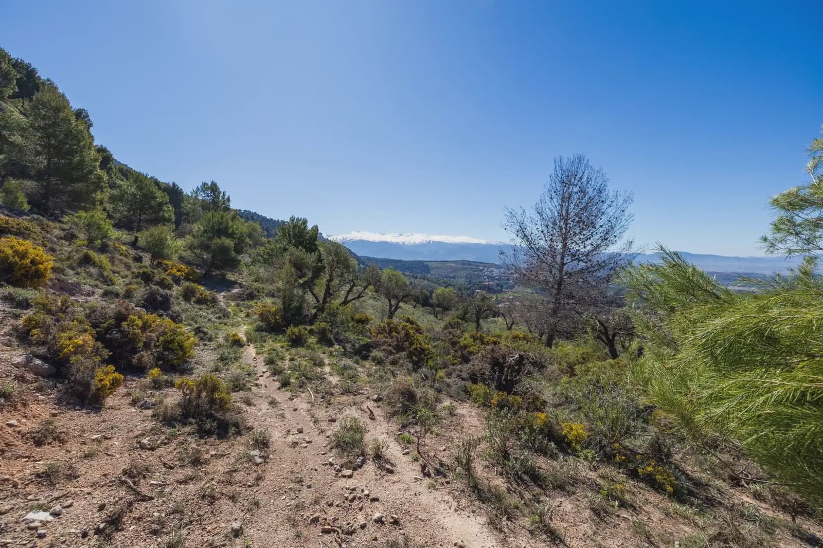 Grunde uden byggetilladelser til salg i Alfacar - € 53.600 (Ref: 9837355)