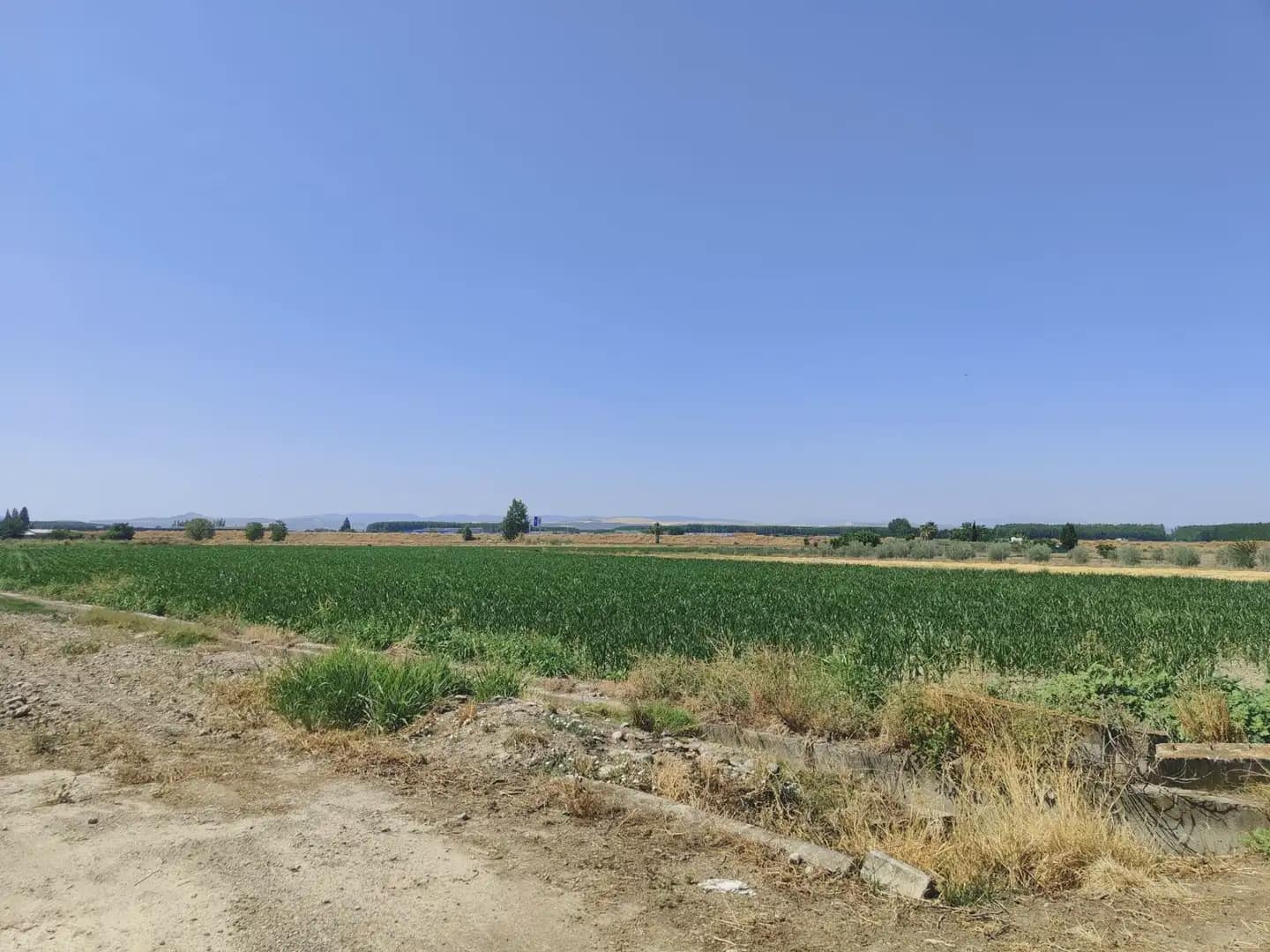 Grunde uden byggetilladelser til salg i Atarfe - € 85.000 (Ref: 9837361)