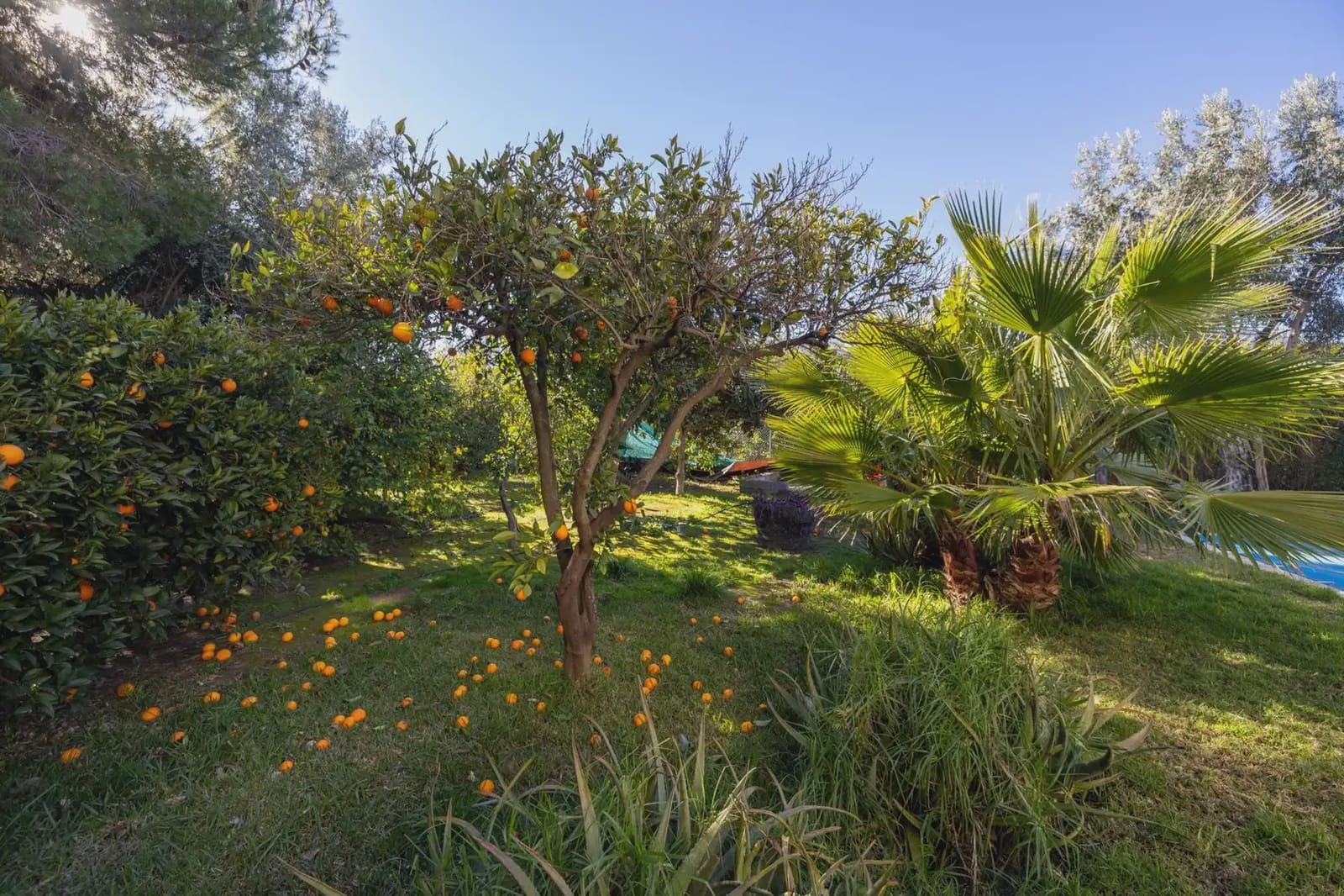 Villa zu verkaufen in El Valle mit Pool Garage - 1.150.000 € (Ref: 9837379)