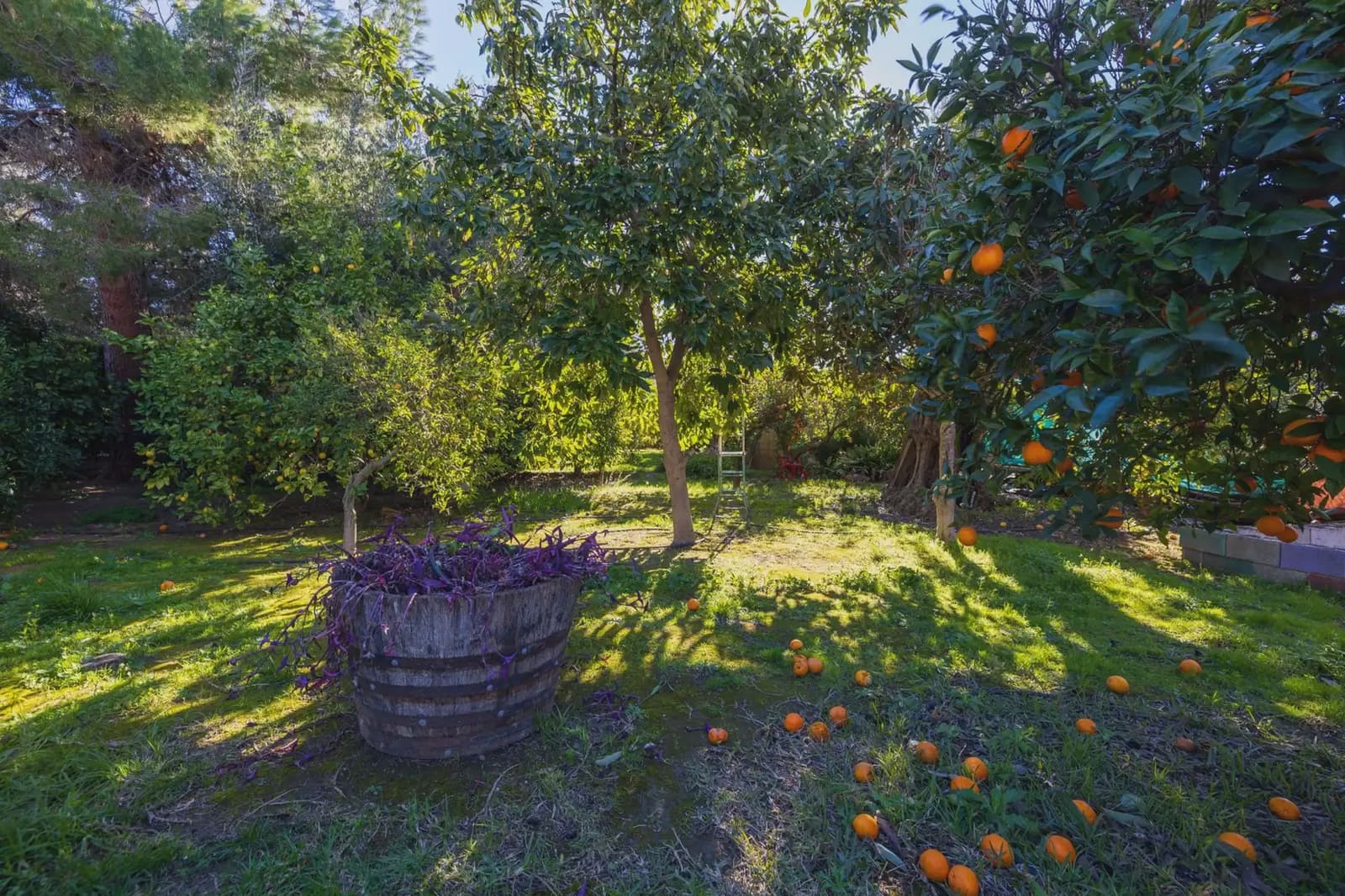 Villa zu verkaufen in El Valle mit Pool Garage - 1.150.000 € (Ref: 9837379)