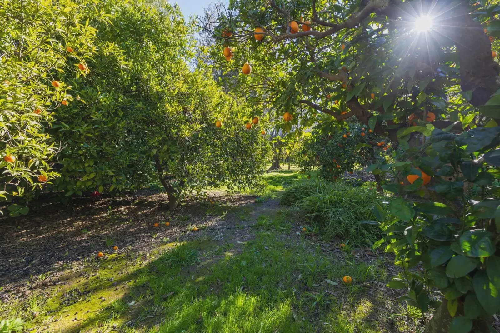 Villa zu verkaufen in El Valle mit Pool Garage - 1.150.000 € (Ref: 9837379)