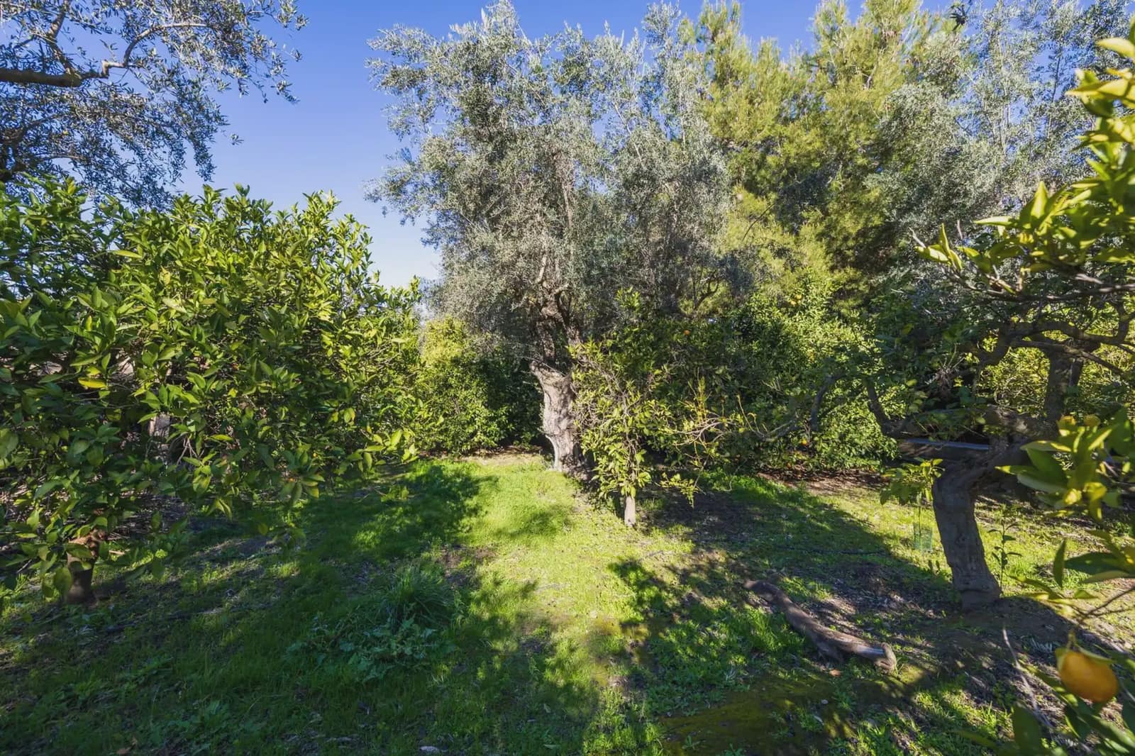 Villa zu verkaufen in El Valle mit Pool Garage - 1.150.000 € (Ref: 9837379)