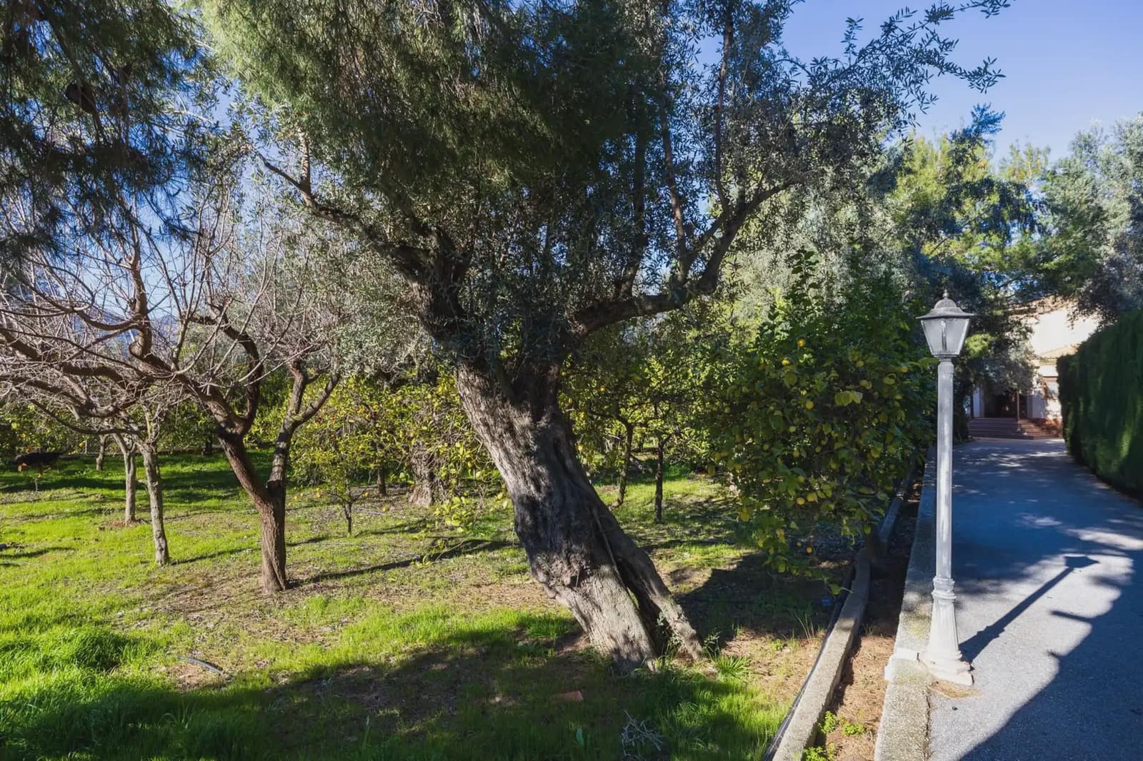 Villa zu verkaufen in El Valle mit Pool Garage - 1.150.000 € (Ref: 9837379)