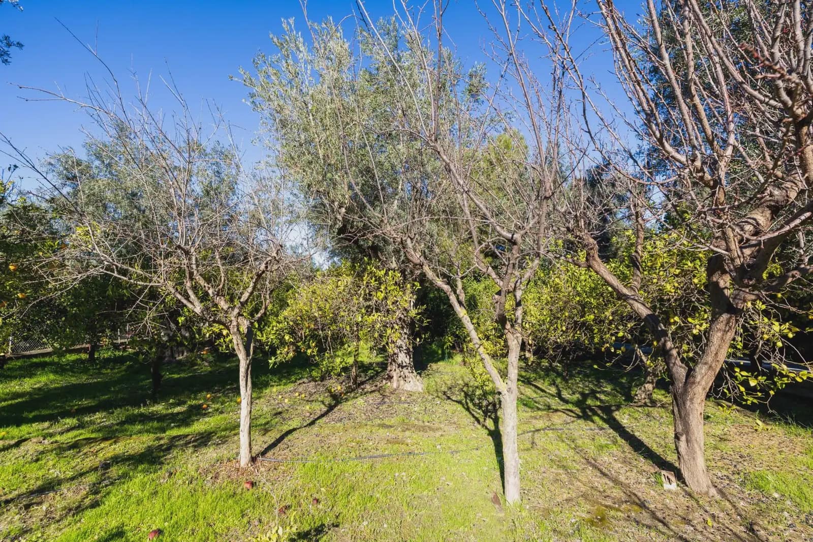 Villa zu verkaufen in El Valle mit Pool Garage - 1.150.000 € (Ref: 9837379)