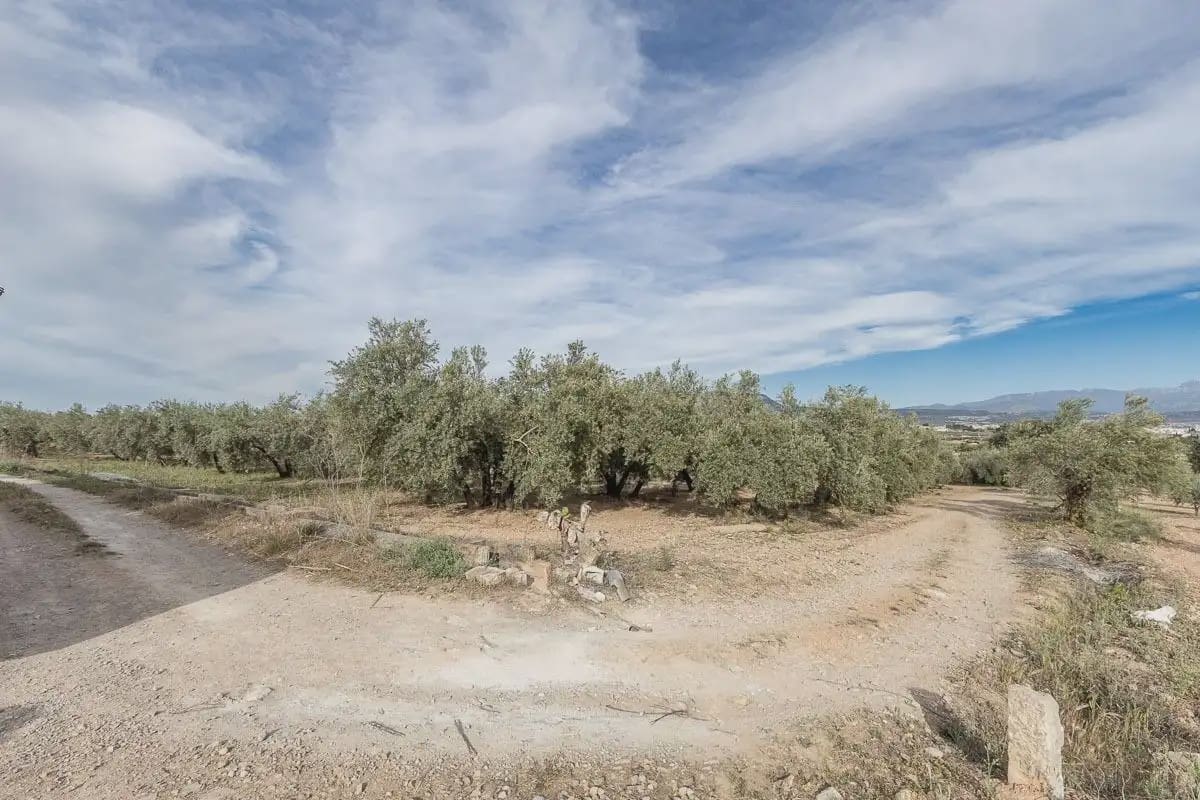 Grunde uden byggetilladelser til salg i Albolote - € 35.000 (Ref: 9837384)