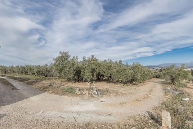 Grunde uden byggetilladelser til salg i Albolote - € 35.000 (Ref: 9837384)