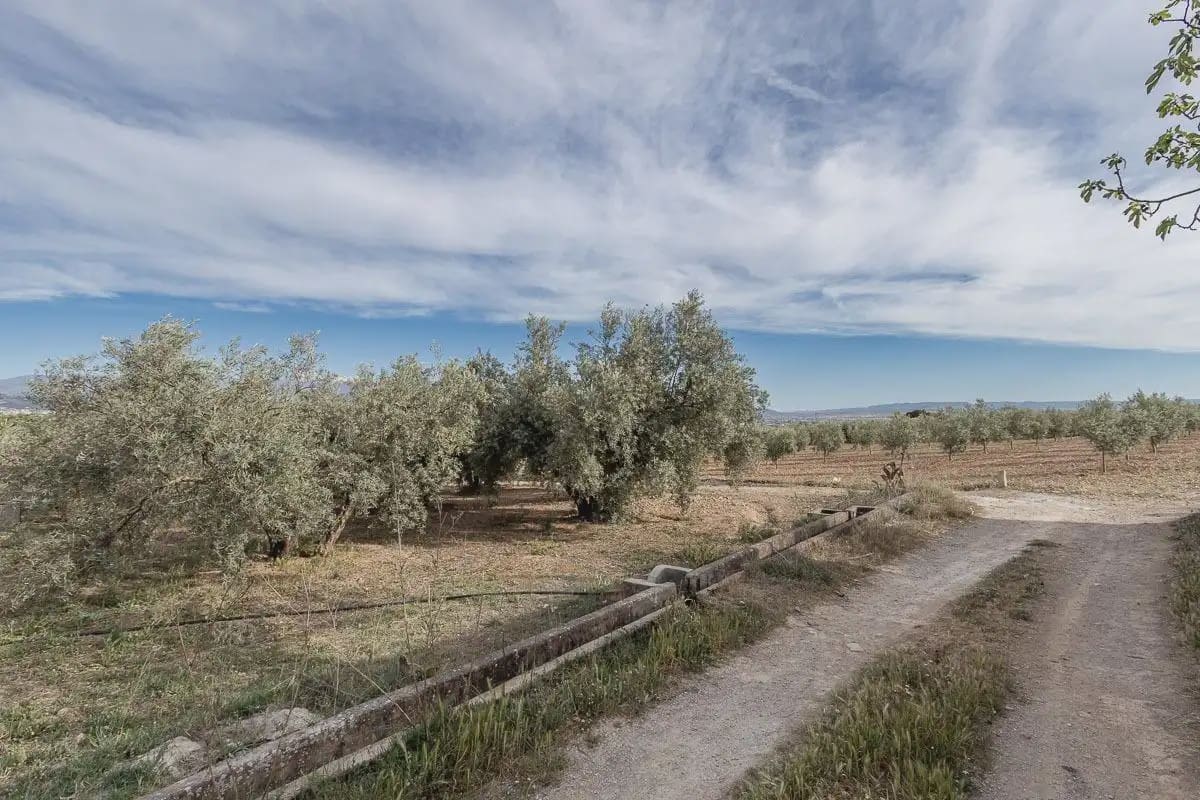 Grunde uden byggetilladelser til salg i Albolote - € 35.000 (Ref: 9837384)