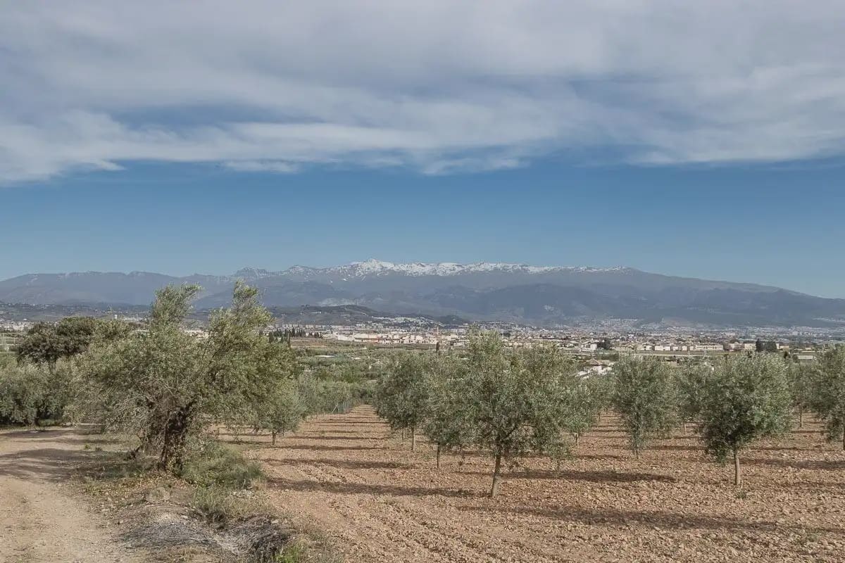 Grunde uden byggetilladelser til salg i Albolote - € 35.000 (Ref: 9837384)