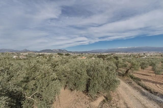 Grunde uden byggetilladelser til salg i Albolote - € 35.000 (Ref: 9837384)
