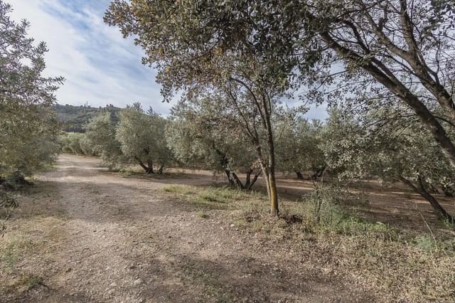 Grunde uden byggetilladelser til salg i Albolote - € 35.000 (Ref: 9837384)