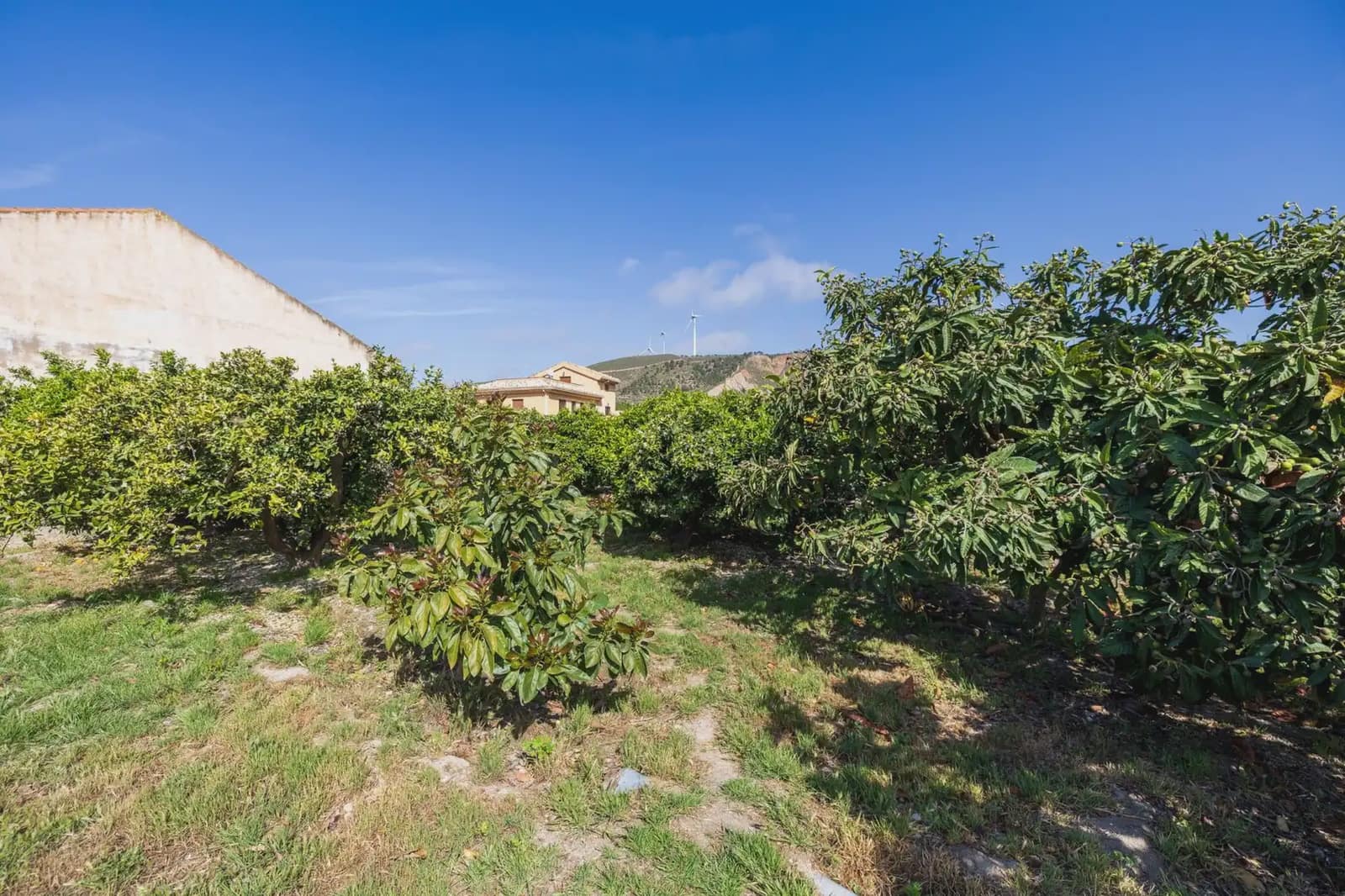 Grunde uden byggetilladelser til salg i Lecrin - € 250.000 (Ref: 9837429)