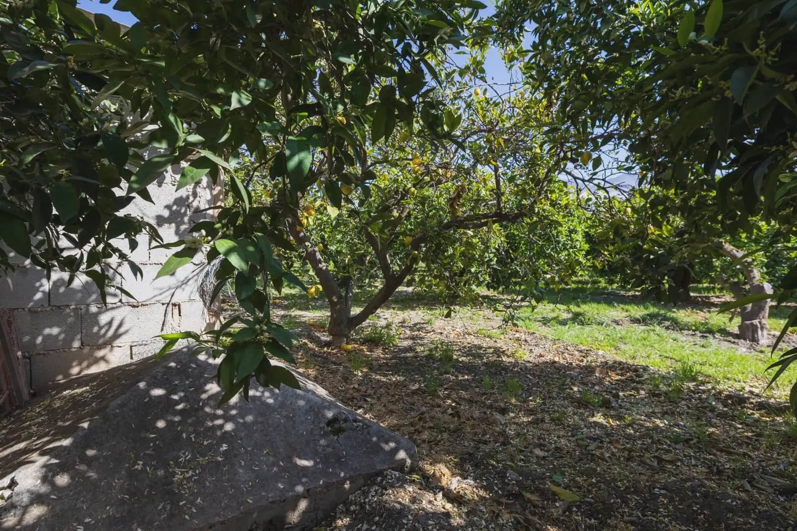 Grunde uden byggetilladelser til salg i Lecrin - € 250.000 (Ref: 9837429)