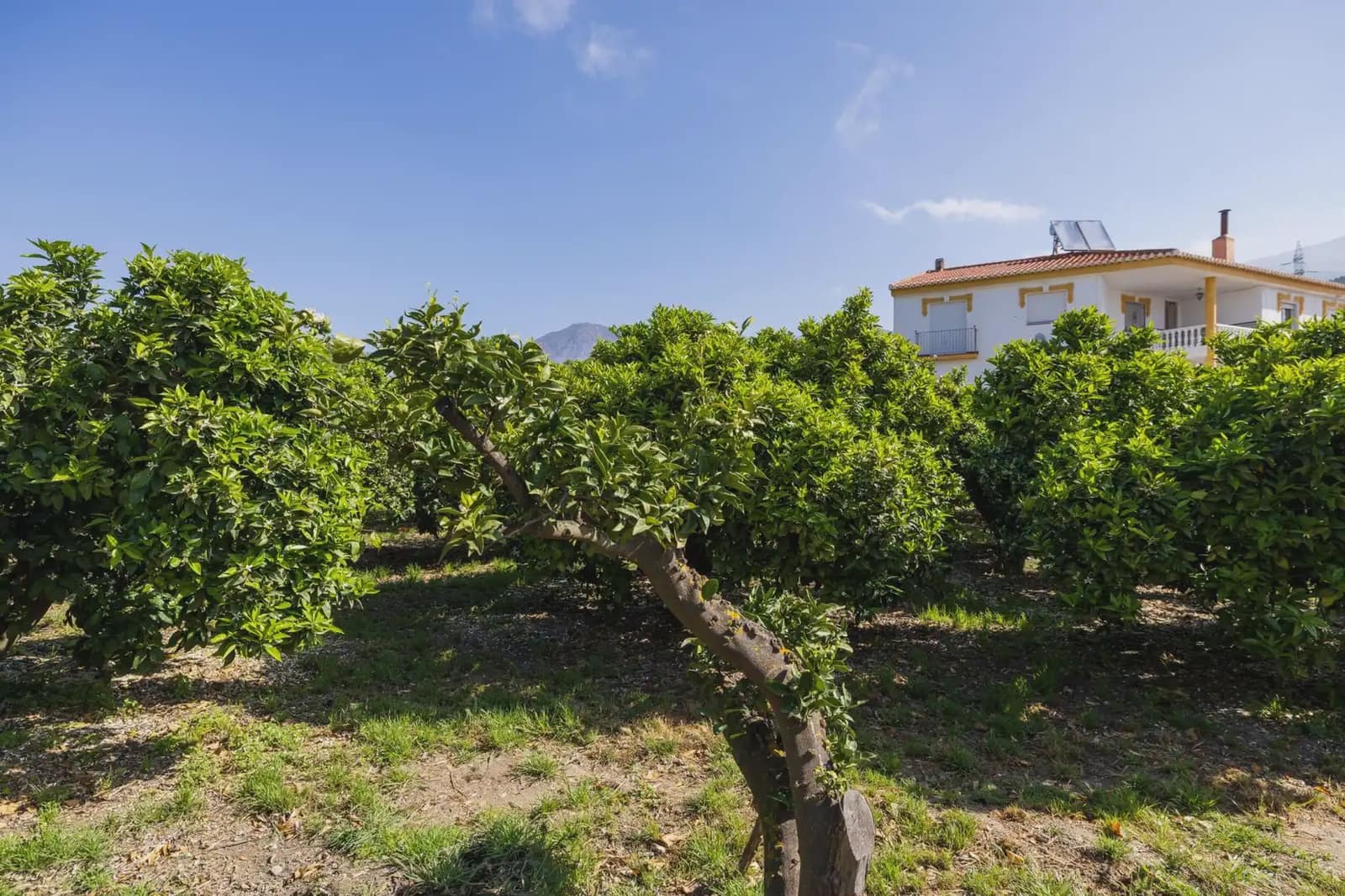 Grunde uden byggetilladelser til salg i Lecrin - € 250.000 (Ref: 9837429)
