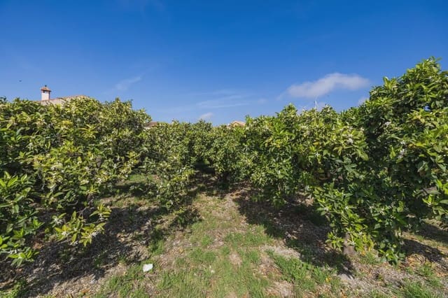 Mark till salu i Lecrín - 250 000 € (Ref: 9837429)