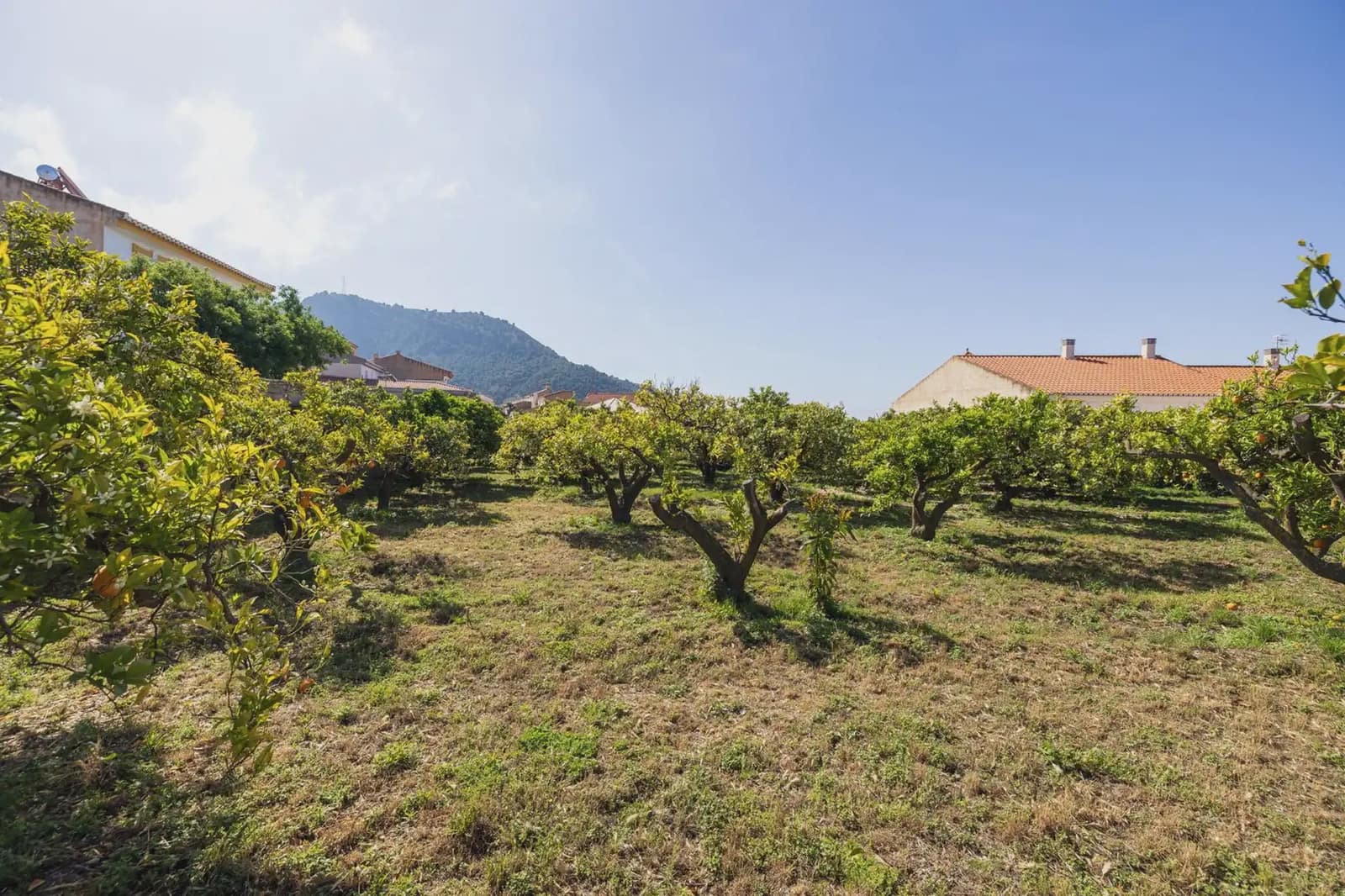 Grunde uden byggetilladelser til salg i Lecrin - € 250.000 (Ref: 9837429)