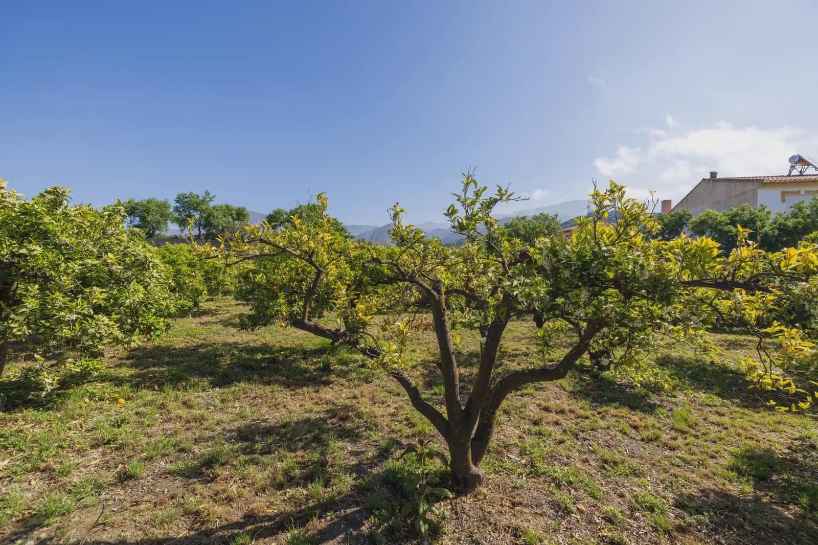 Grunde uden byggetilladelser til salg i Lecrin - € 250.000 (Ref: 9837429)
