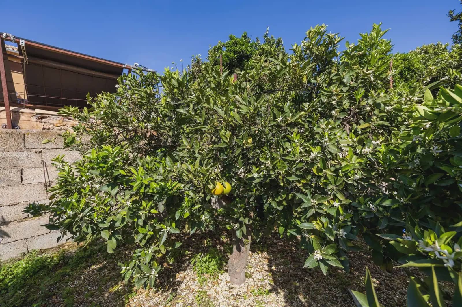 Grunde uden byggetilladelser til salg i Lecrin - € 250.000 (Ref: 9837429)
