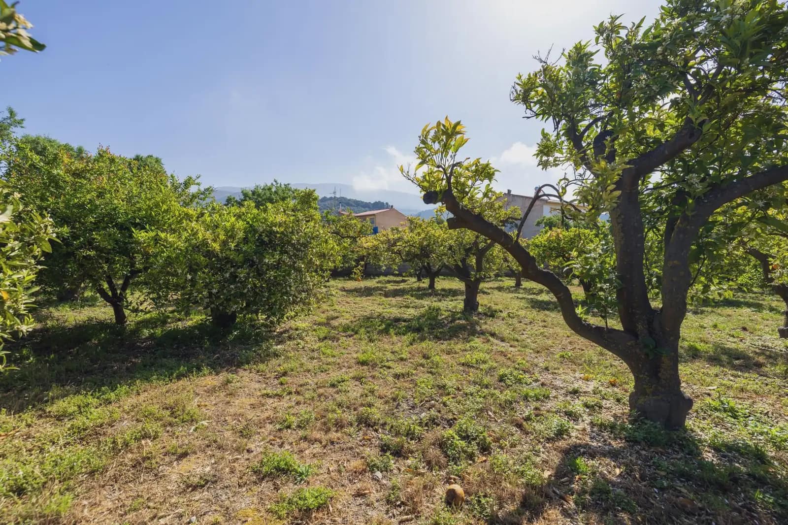 Grunde uden byggetilladelser til salg i Lecrin - € 250.000 (Ref: 9837429)