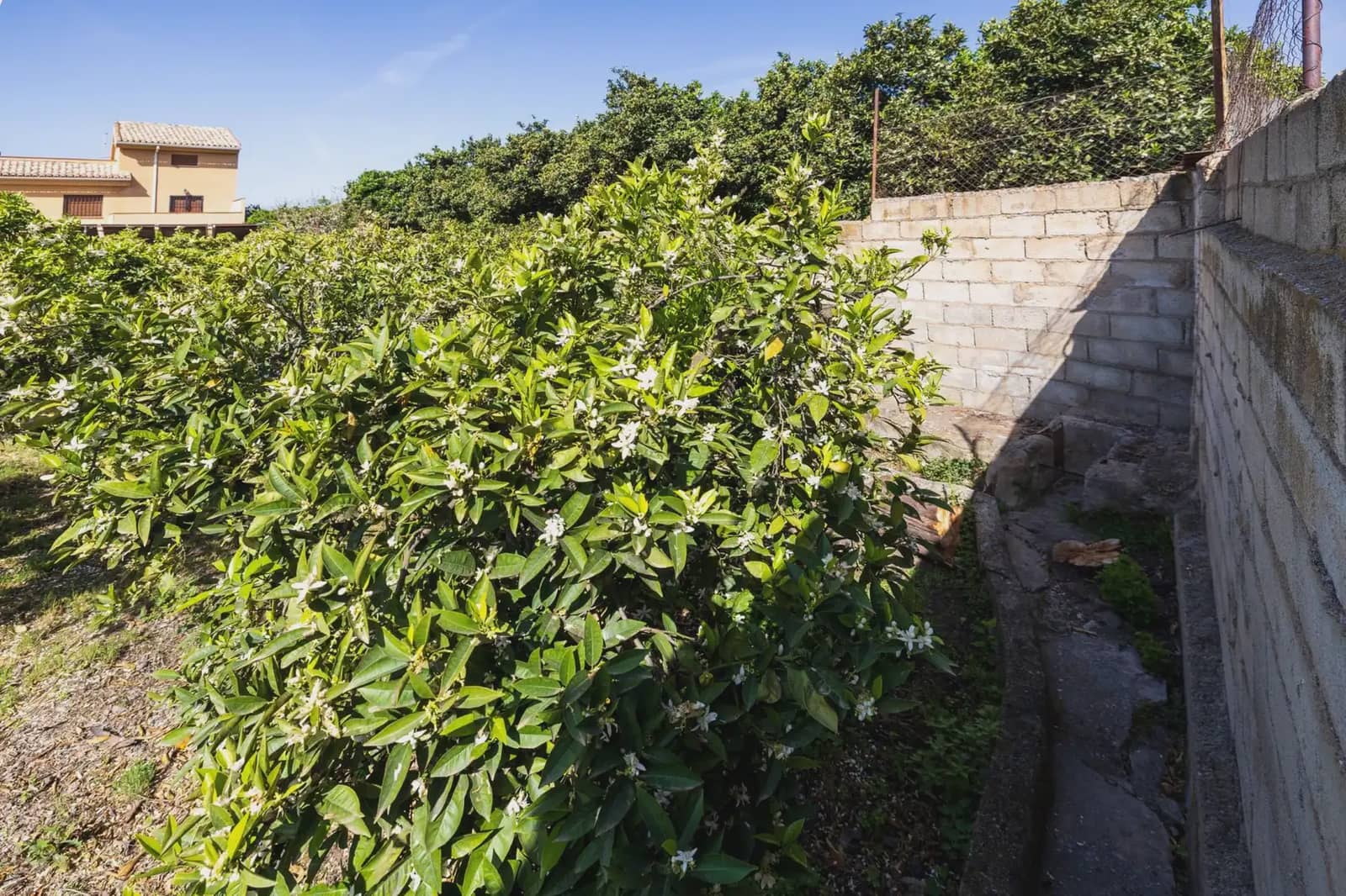 Grunde uden byggetilladelser til salg i Lecrin - € 250.000 (Ref: 9837429)