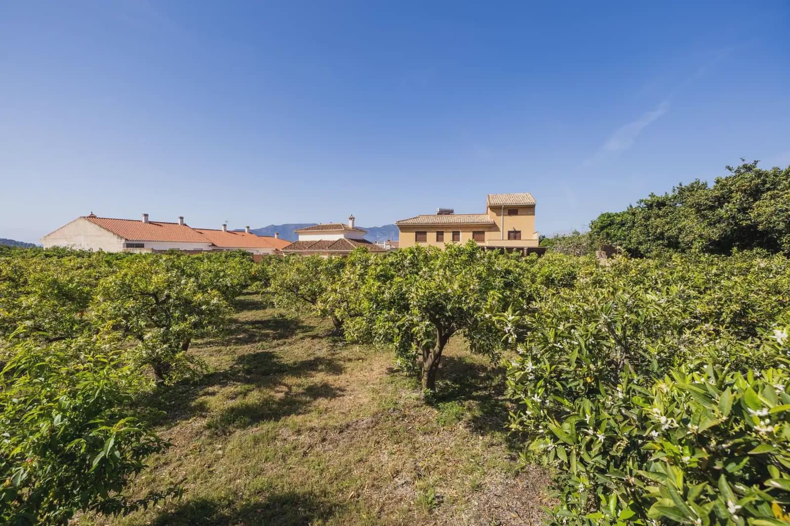 Grunde uden byggetilladelser til salg i Lecrin - € 250.000 (Ref: 9837429)