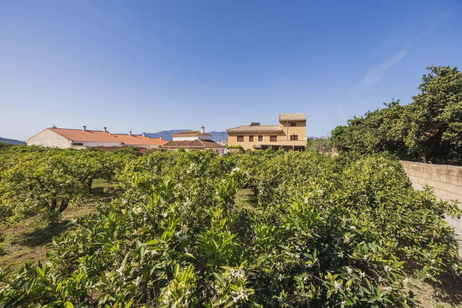 Grunde uden byggetilladelser til salg i Lecrin - € 250.000 (Ref: 9837429)