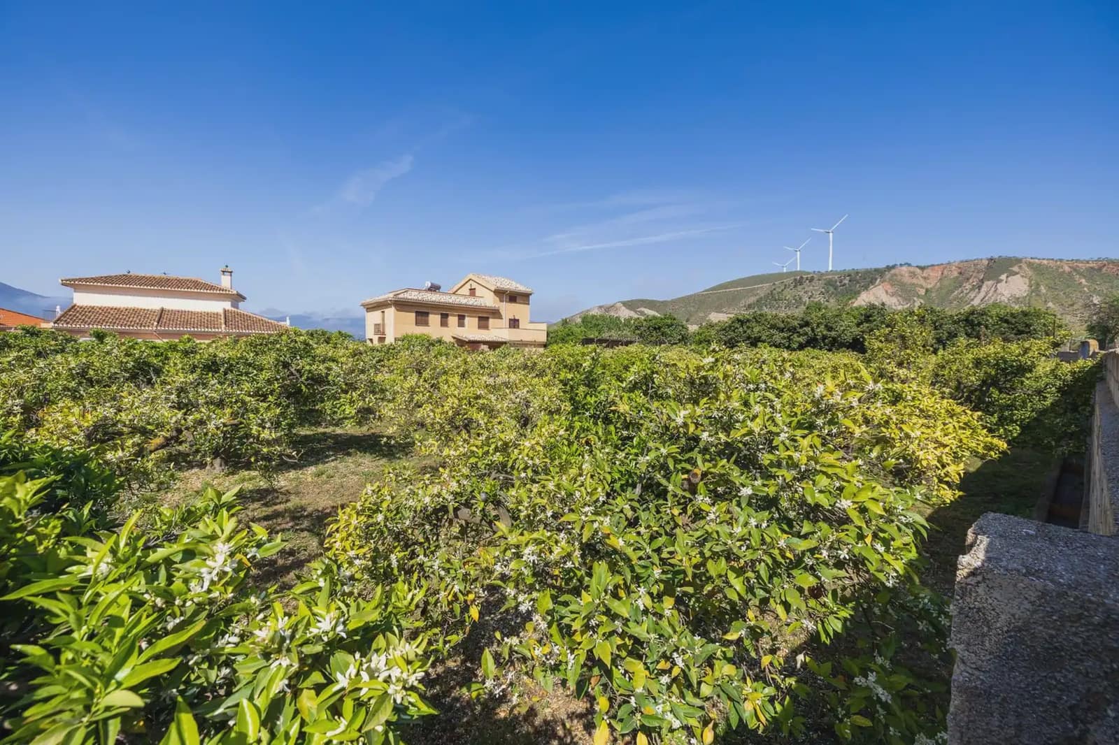Grunde uden byggetilladelser til salg i Lecrin - € 250.000 (Ref: 9837429)