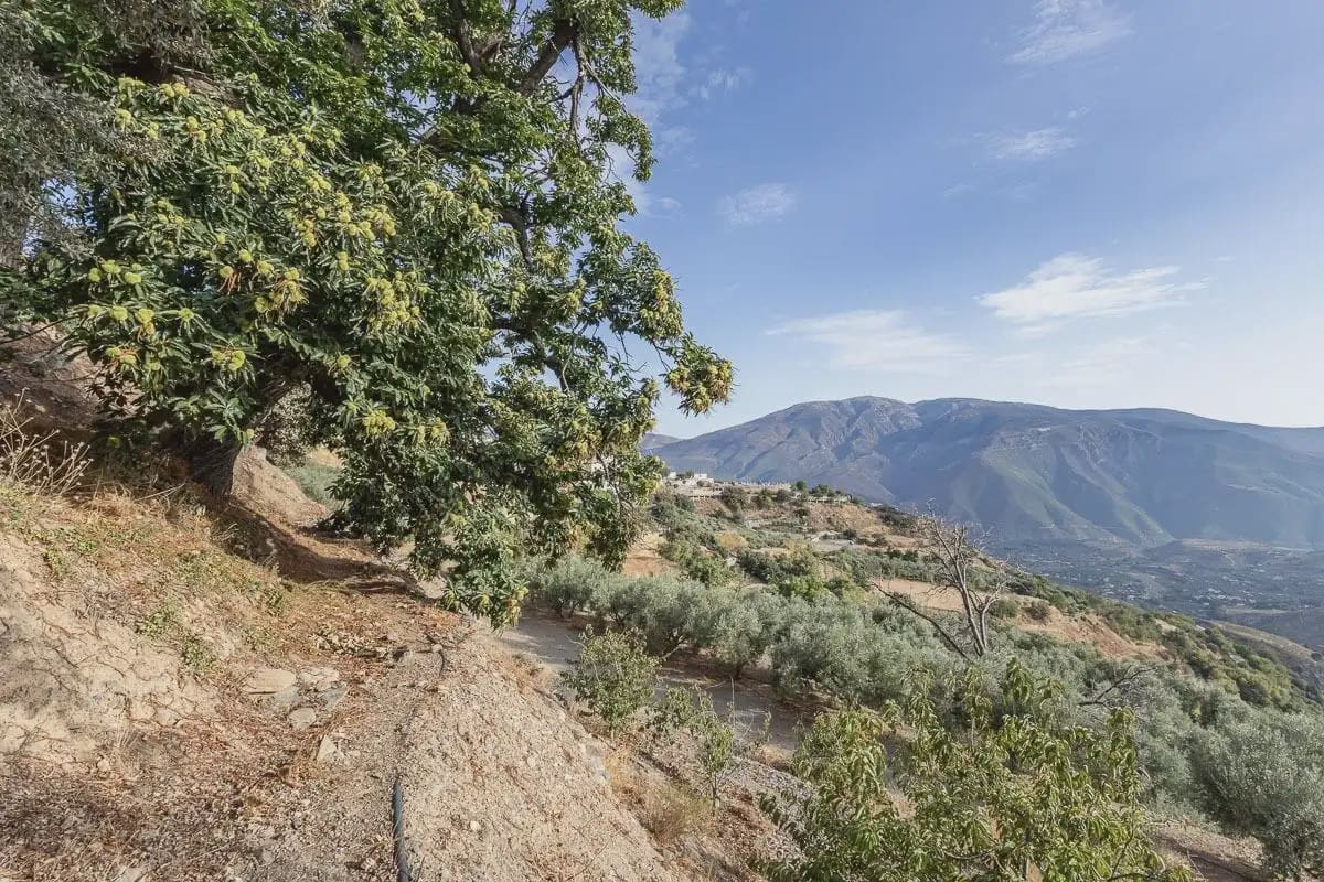 Finca/Maison de Campagne à vendre à Canar avec garage - 350 000 € (Ref: 9837438)