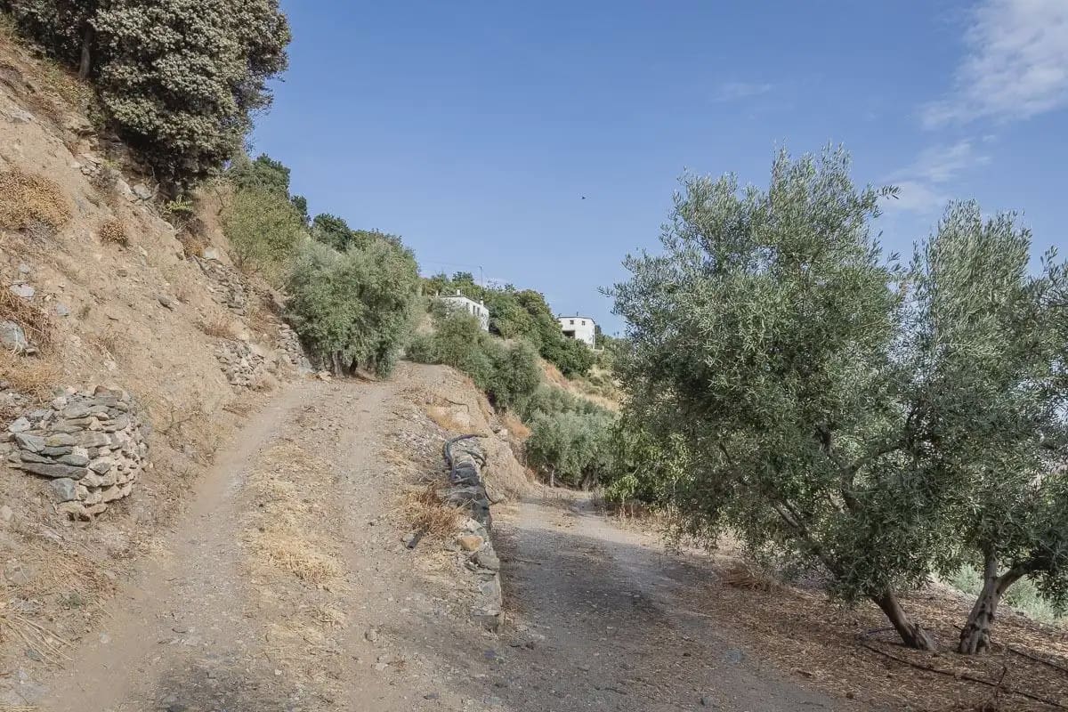 Finca/Maison de Campagne à vendre à Canar avec garage - 350 000 € (Ref: 9837438)