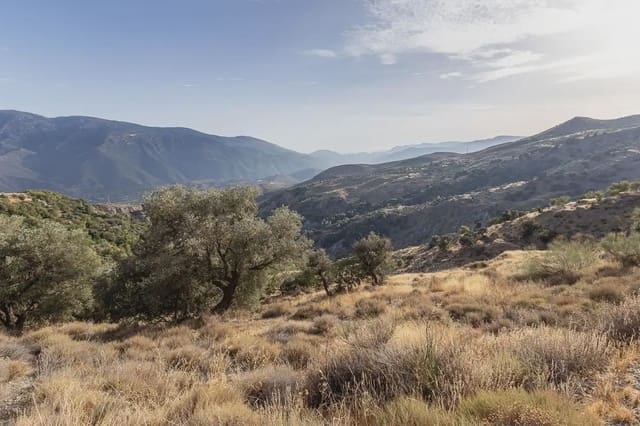 Grunde uden byggetilladelser til salg i Cáñar - € 20.000 (Ref: 9837440)