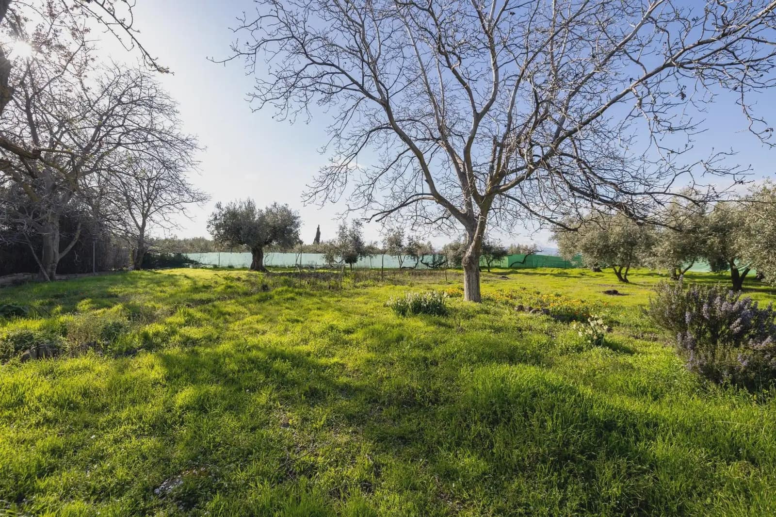 Finca/Herregård til salgs i Otura - € 160 000 (Ref: 9837457)