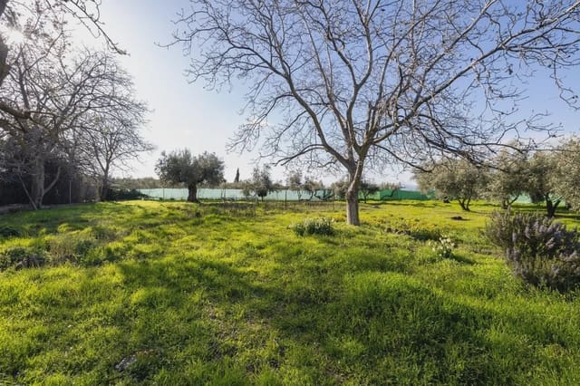Finca/Herregård til salgs i Otura - € 160 000 (Ref: 9837457)