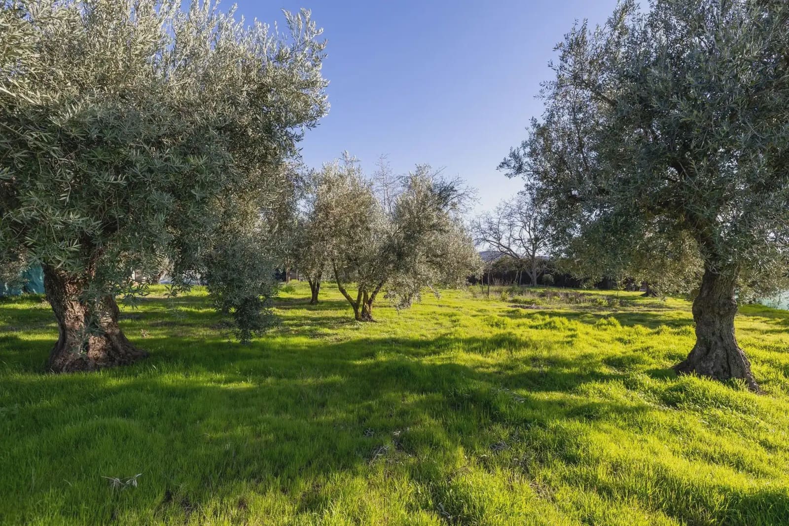 Finca/Herregård til salgs i Otura - € 160 000 (Ref: 9837457)